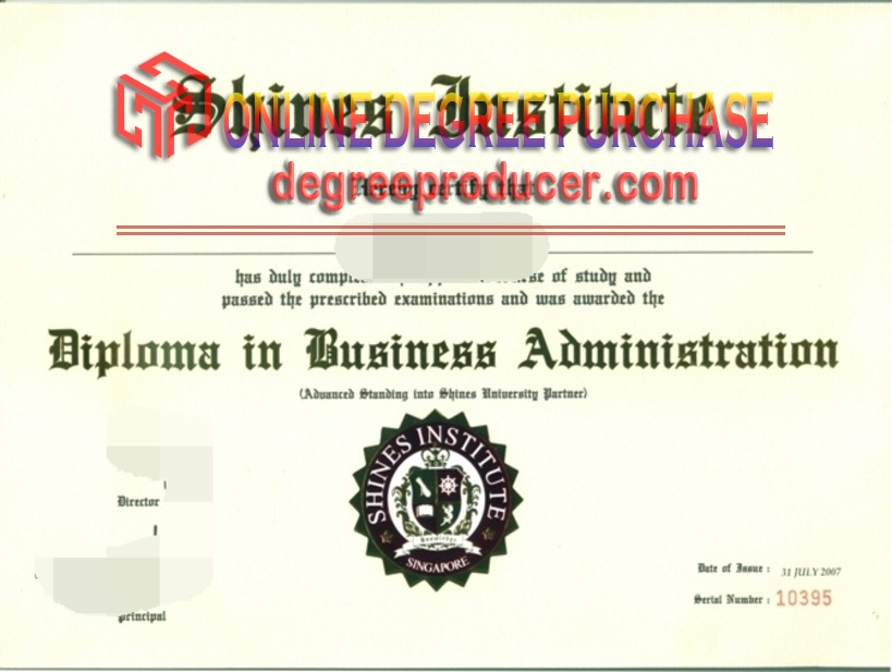 Replica Shines: Elevate Your Institute Degree to the Next Level