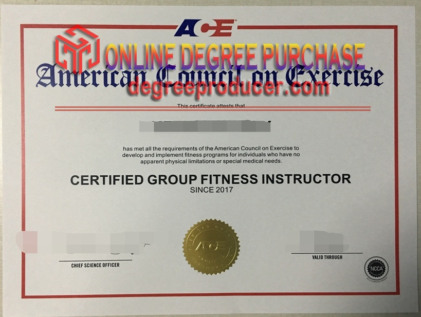 Looking to Buy Fake ACE Certification? Think Twice!