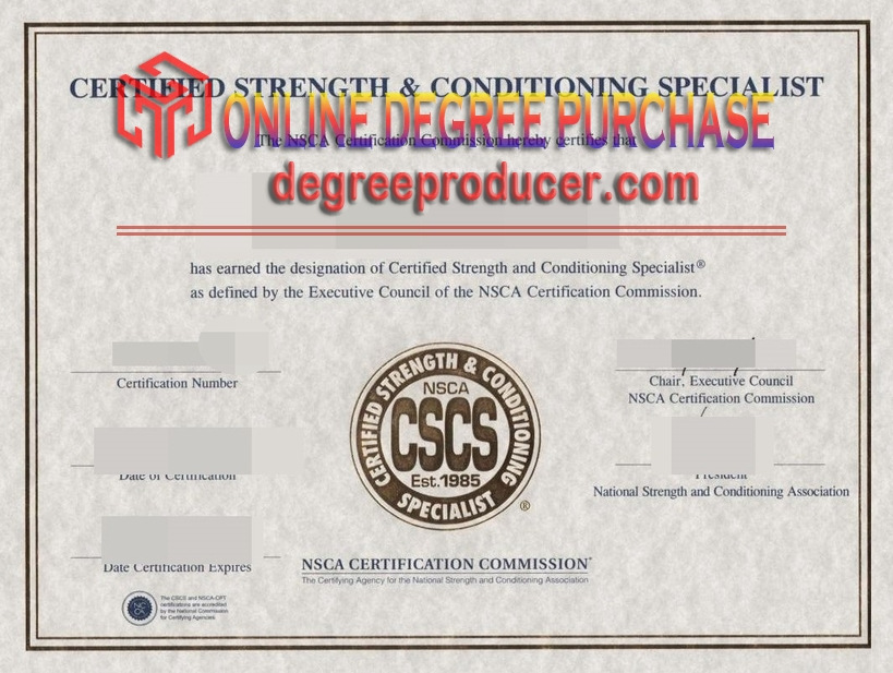 How to Buy a Phony Construction Skills Certification Scheme (CSCS) Certificate
