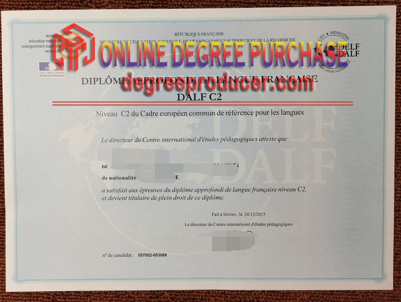 Replica C2 DELF DALF: Navigating the Path to French Proficiency