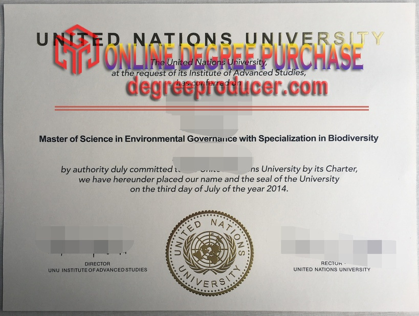 Replica United Nations University Degree: Unveiling the Possibilities