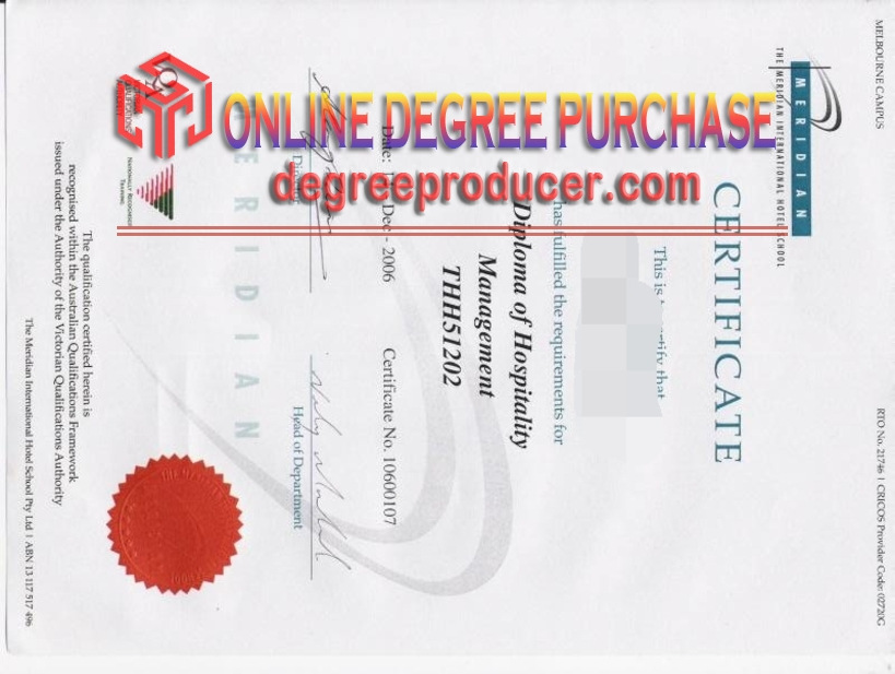 Buy Fake The Meridian International School Diploma: Is It Worth the Risk?
