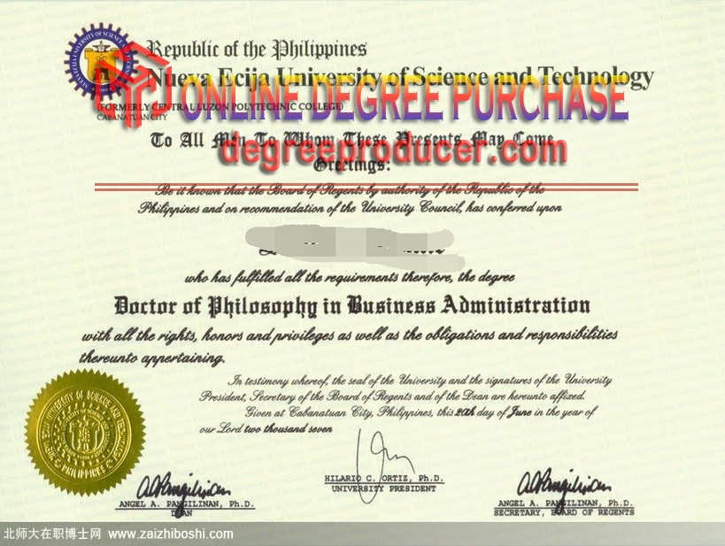 Unveiling Rustom's Journey at the Nueva Ecija University of Science and Technology: A Degree to Remember